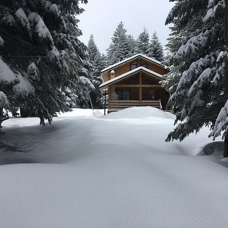 Uludag Orman Koskleri Villa Bursa Exterior foto
