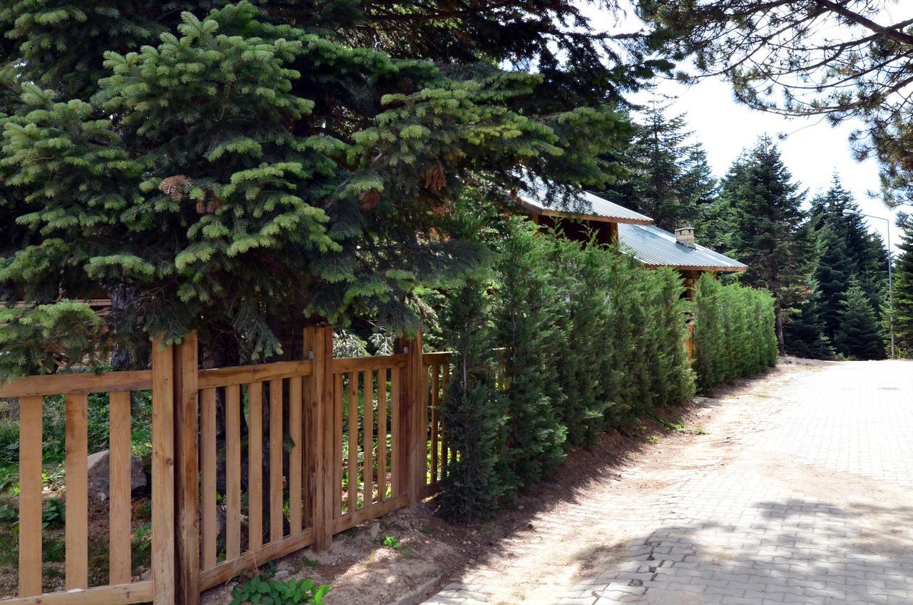 Uludag Orman Koskleri Villa Bursa Exterior foto