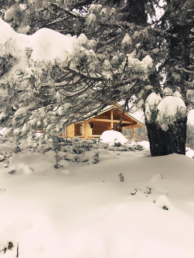 Uludag Orman Koskleri Villa Bursa Exterior foto